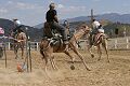 Camel Races - Virginia City, Nevada 