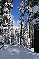 Sierra-at-Tahoe, El Dorado National forest