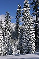 Sierra-at-Tahoe, El Dorado National forest