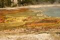 Bacterial mats, Midway Geyser Basin