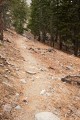 Mono Pass Trail
