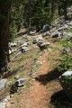 Mitchell Peak Trail