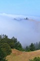 Fog on Mt. Tamalpais