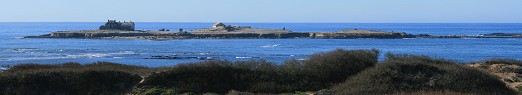 Ao Nuevo Island panorama