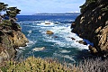 Point Lobos State Reserve - February 7, 2008