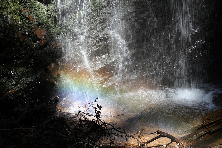 Berry Creek Fall - rainbow