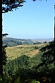 View from Año Nuevo Trail