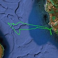 Lahaina Whale Watch Google map