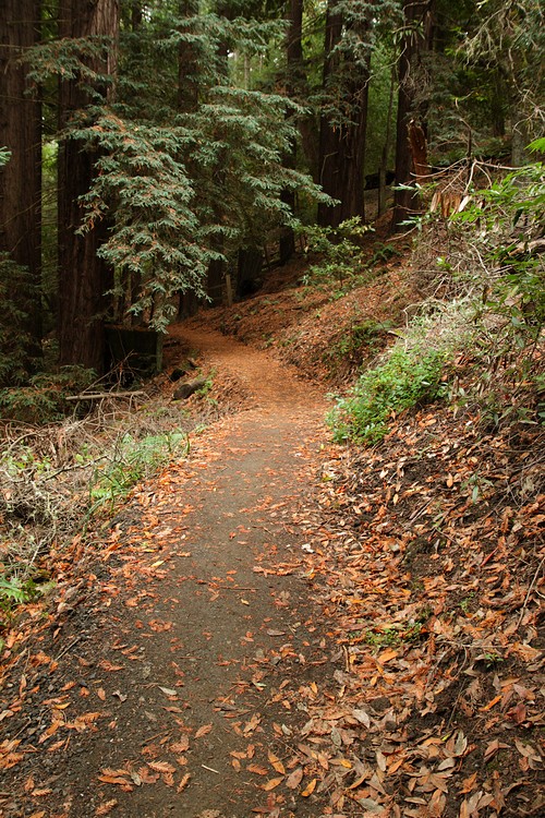 Crystal Springs Trail