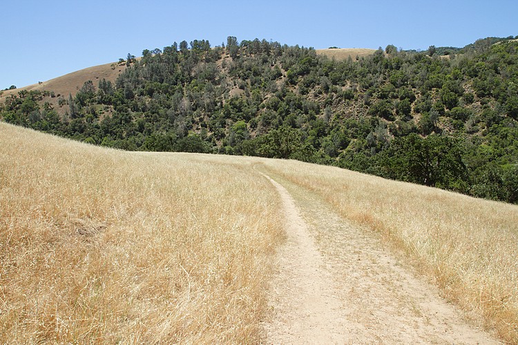 McCorkle Trail