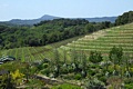 Wine Country - April 28, 2011