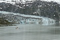Lamplugh Glacier