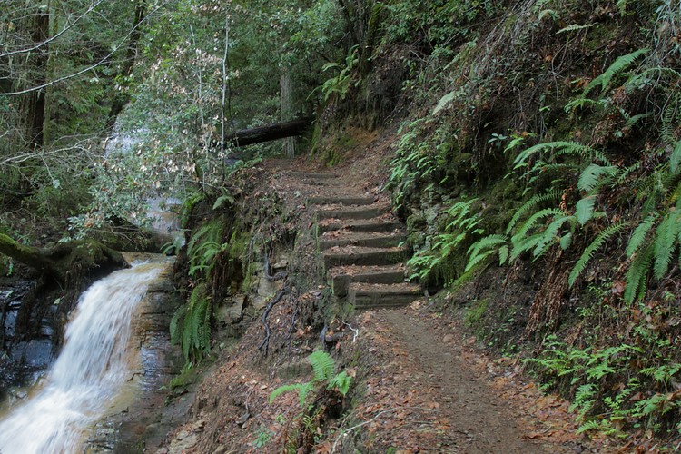 Golden Cascade and Berry Creek Falls Trail