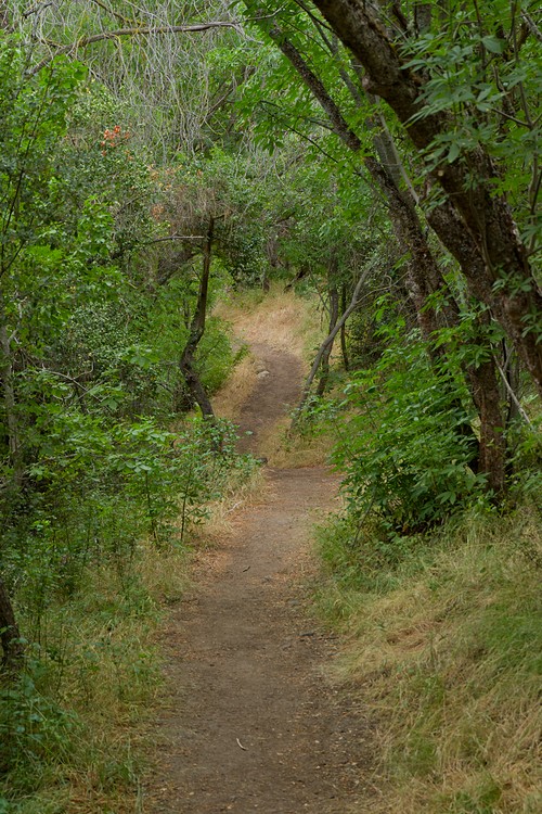Old Pinnacles Trail