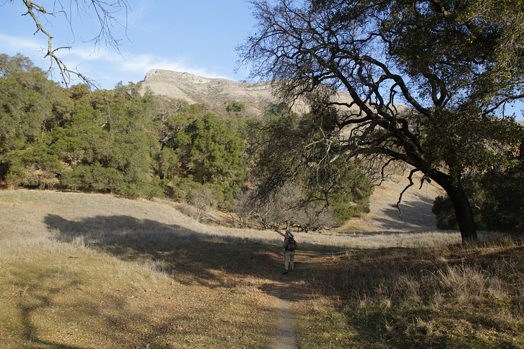 Flag Hill Trail