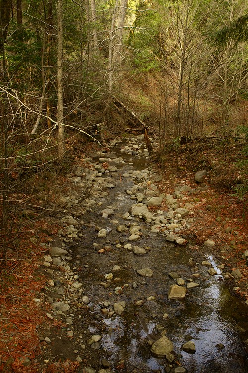 Corte Madera Creek