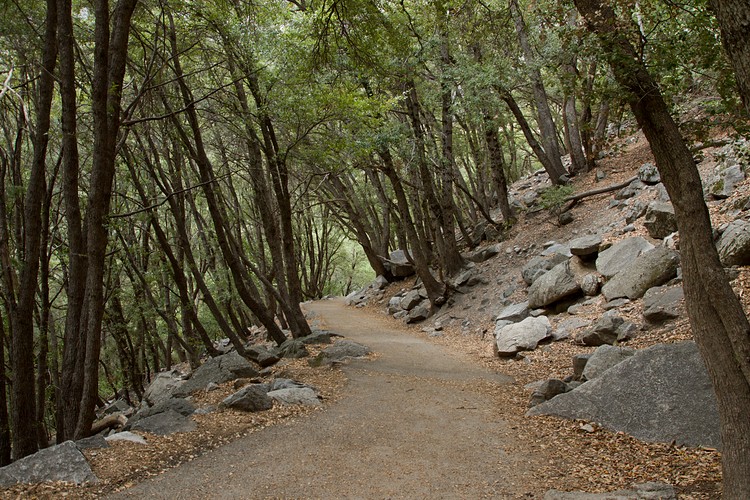 Vernal Fall Trail