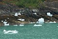 Icebergs stranded by the tide
