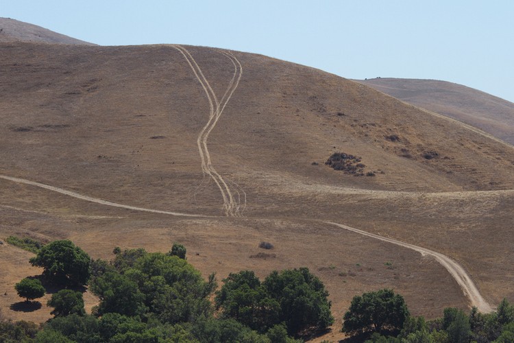 Rancher tracks