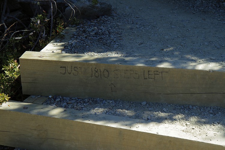 Just 1810 steps left