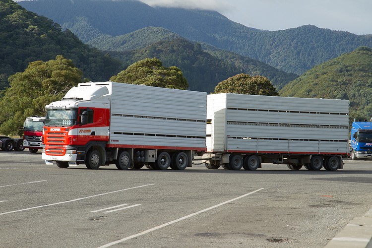 New Zealand truck