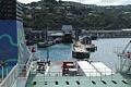 Wellington ferry terminal