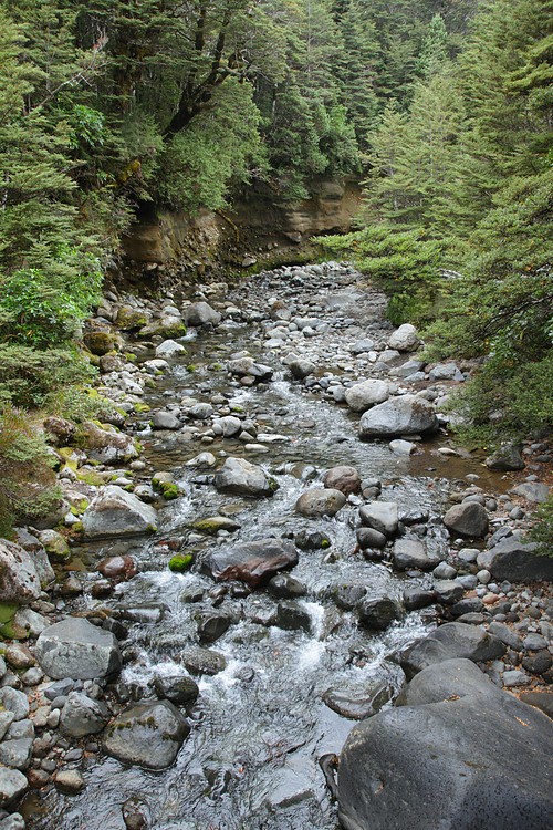 Wairere Stream