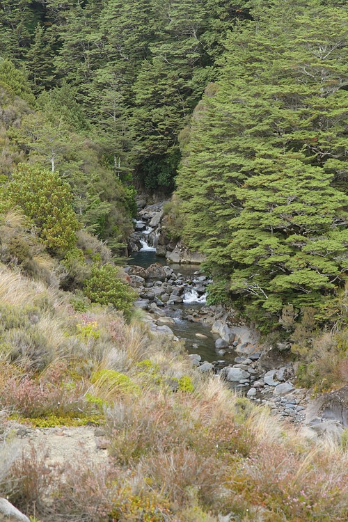 Wairere Stream