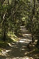Taranaki Falls Track