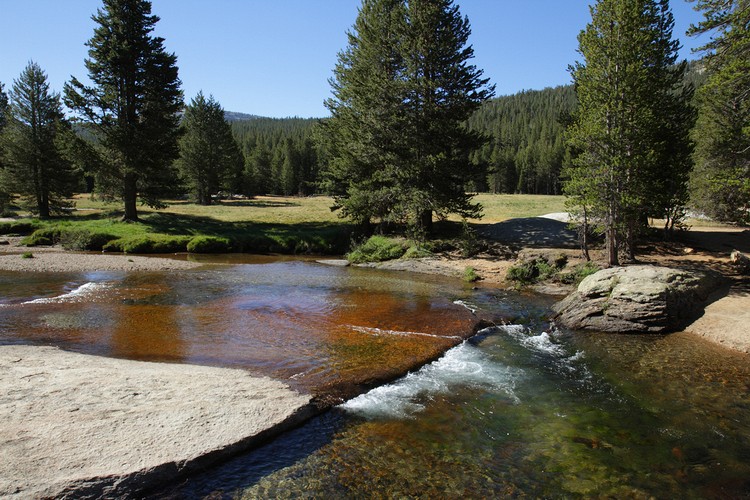 Lyell Fork of the Tuolumne River
