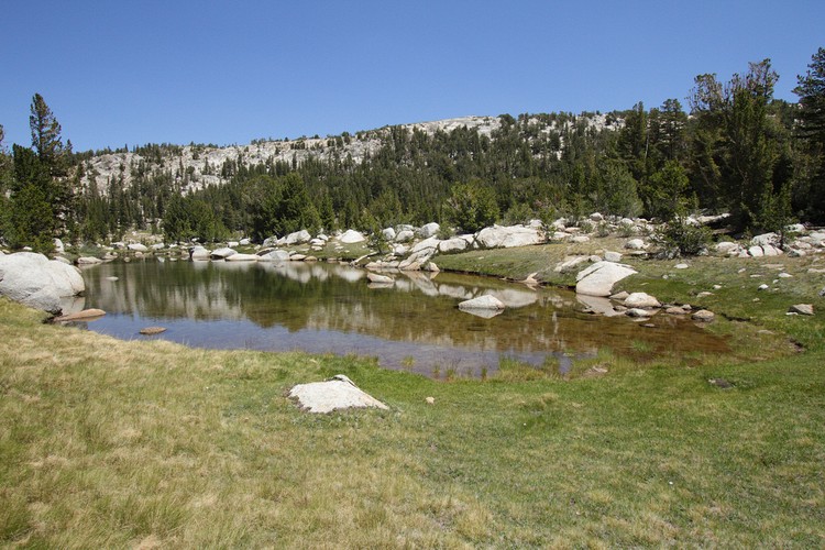 Pond at Tuolumne Pass