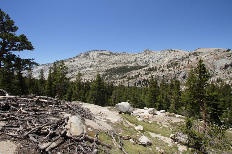 View from Vogelsang Pass Trail