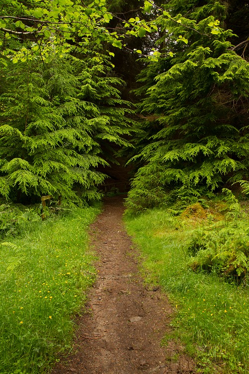 Lochan Torr an Tuill Trail