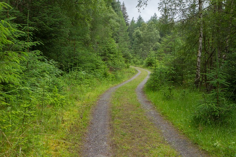 Lochan Torr an Tuill Trail