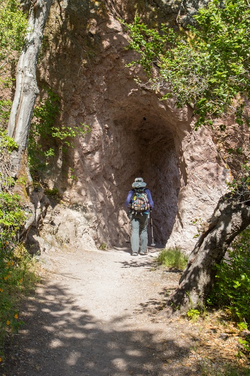 Tunnel on the High Peaks Trail