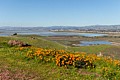 Coyote Hills Regional Park - March 28, 2018