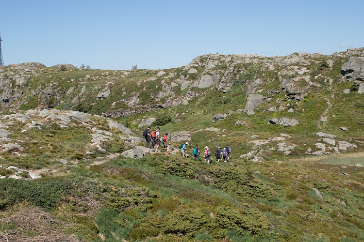 Trail from Mount Blamanen