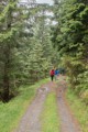 Hikers on the Granvin-Ulvik postal road