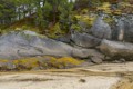 Sand, seaweed, rock, moss and woods