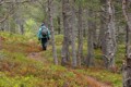 Diane walks in the Norwegian Woods