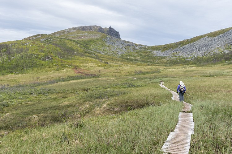 Diane hikes the plank trail to Husfjellet