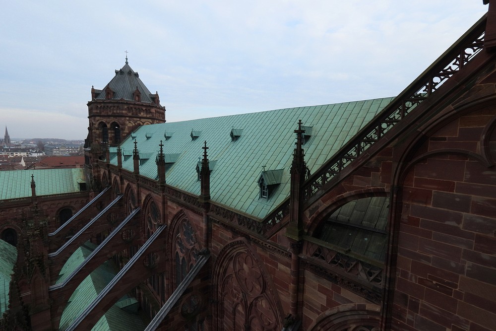 View from Strasbourg Cathedral