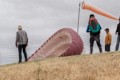 Parafoil Kite - inflating