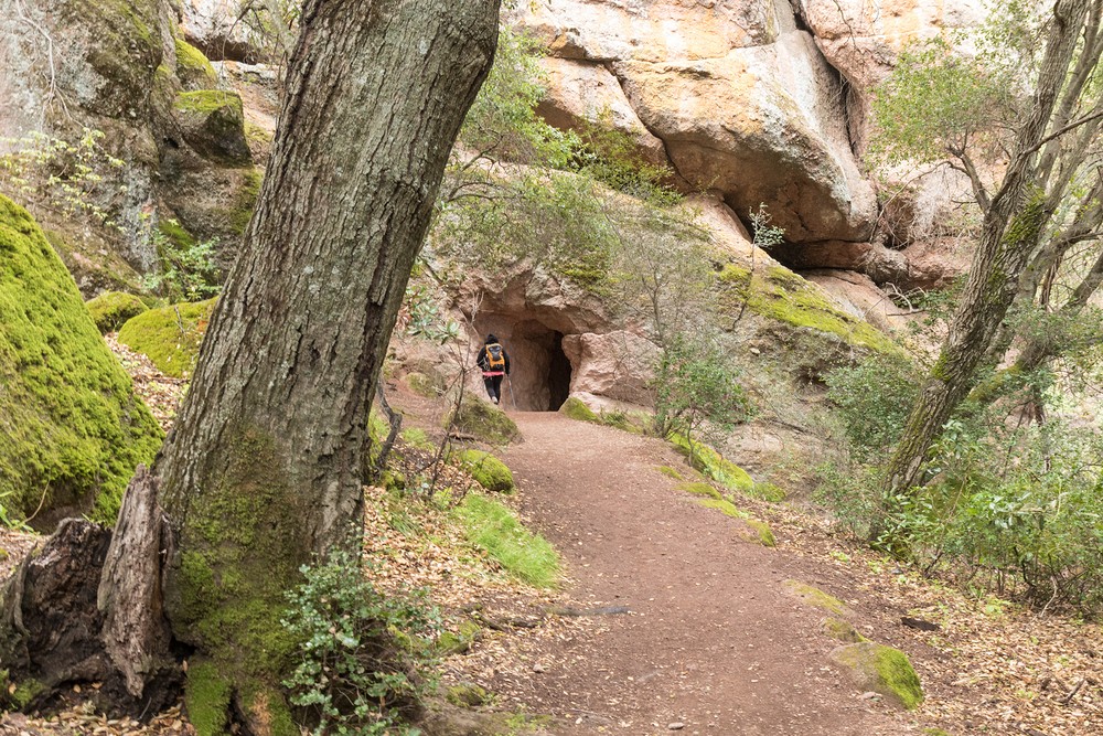 Moses Spring Trail