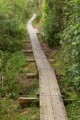 Lough Eske path