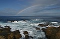 Point Lobos - October 25, 2002