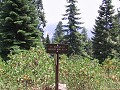 Halfway point - Crescent Meadow to Bearpaw Meadow