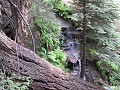 Waterfall - Sequoia National Park