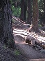 Bearpaw Meadow to Crescent Meadow - Sequoia NP
