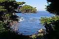 Cypress Cove, Point Lobos State Reserve
